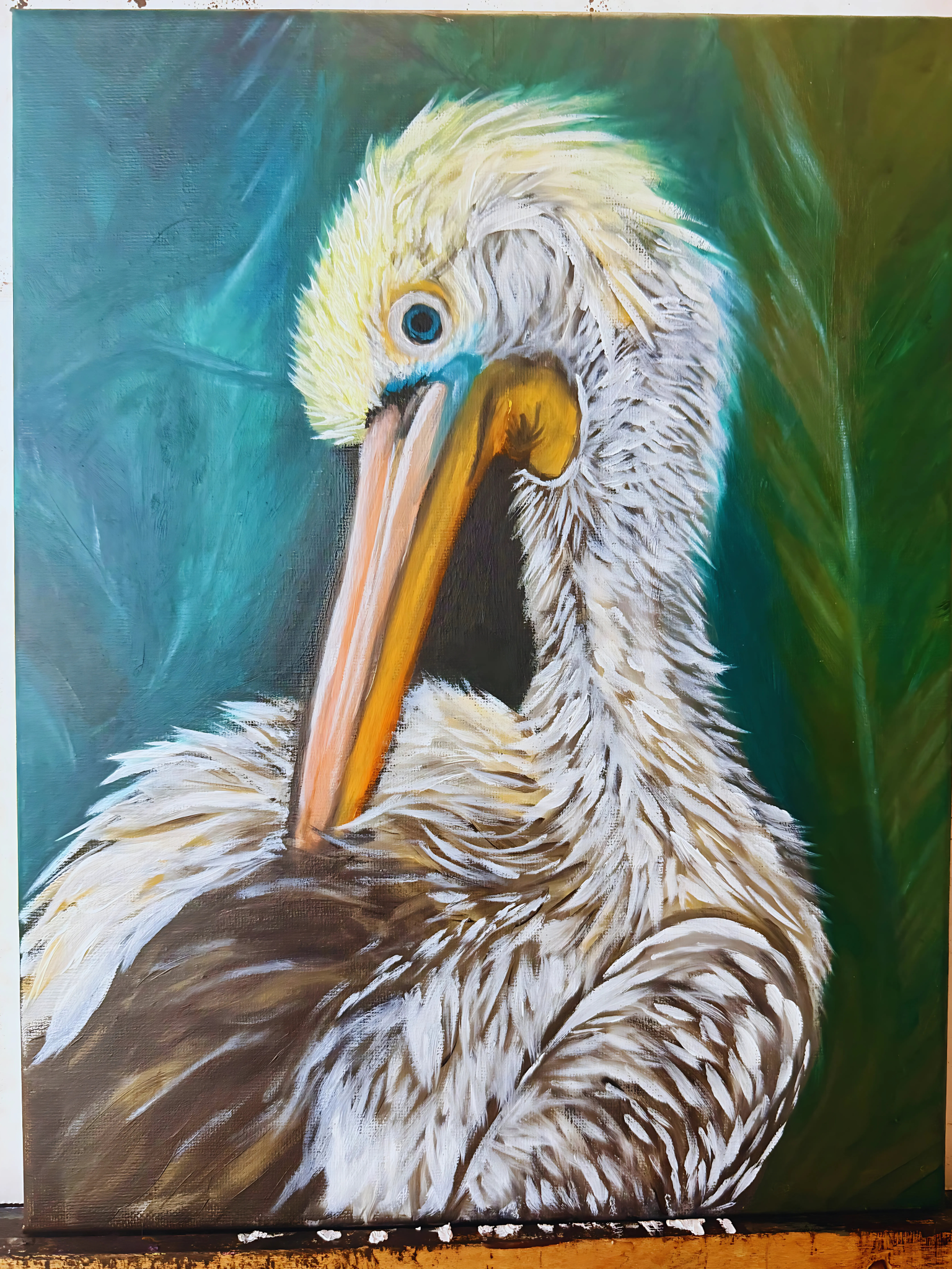 Artist's oil painting titled 'Between Tides' — a pelican mid-preen against a teal field