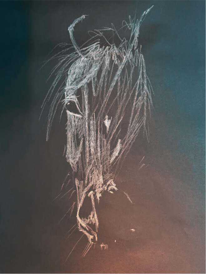 Charcoal drawing titled 'Horse'